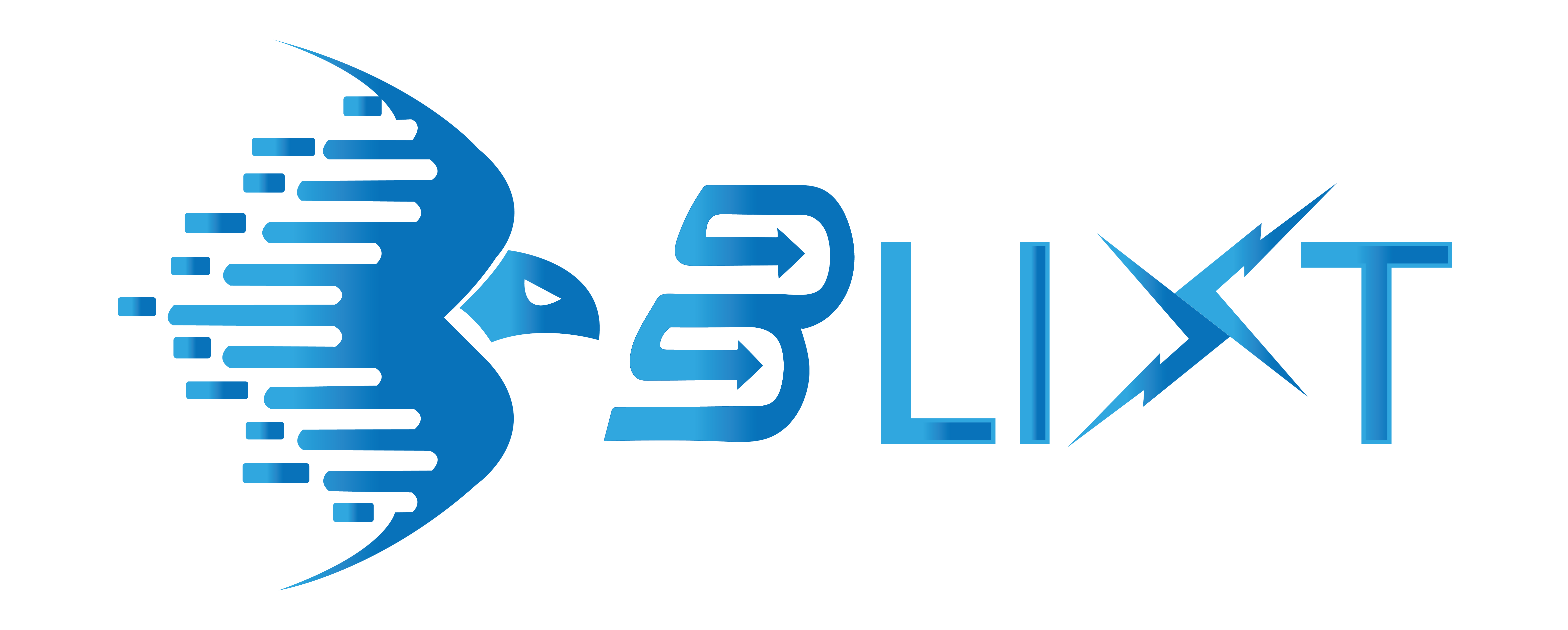 BLIXT LTD - Same day nationwide courier services